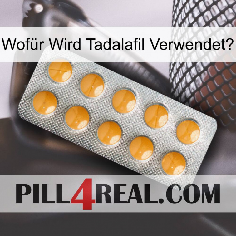 Wofür Wird Tadalafil Verwendeti levitra1